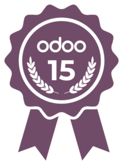 odoo partner